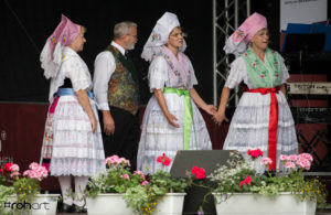 2016-06-18 Stadtfest Cottbus (RBB Bühne – Puschkinpark)-002