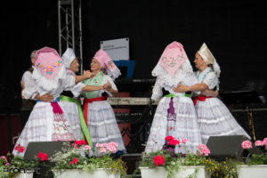 2016-06-18 Stadtfest Cottbus (RBB Bühne – Puschkinpark)-003